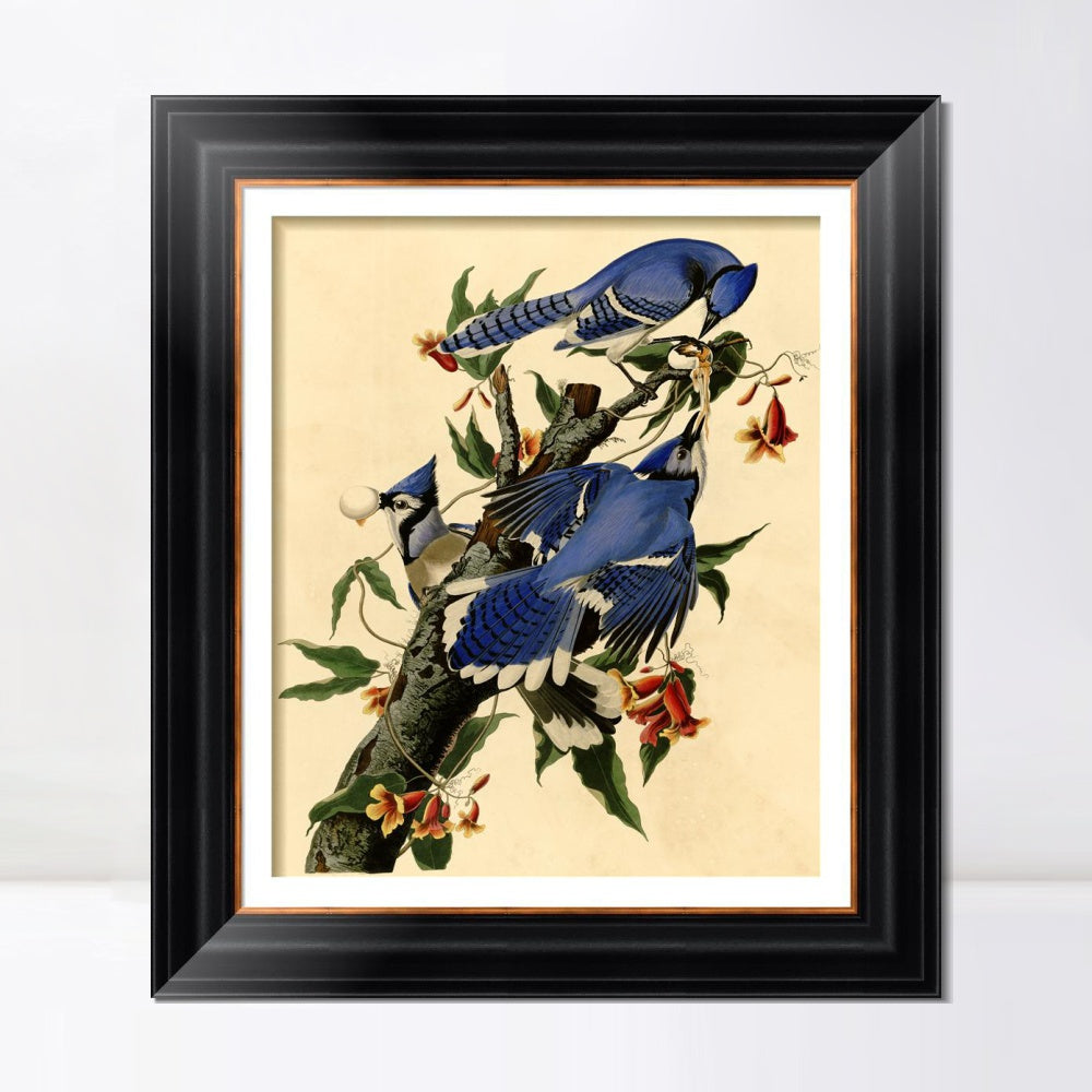 INVIN ART Framed Canvas Art Giclee Print Blue Jay by John James Audubon  Home Office Wall Art Decorations