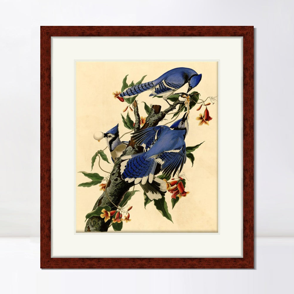 INVIN ART Framed Canvas Art Giclee Print Blue Jay by John James Audubon  Home Office Wall Art Decorations