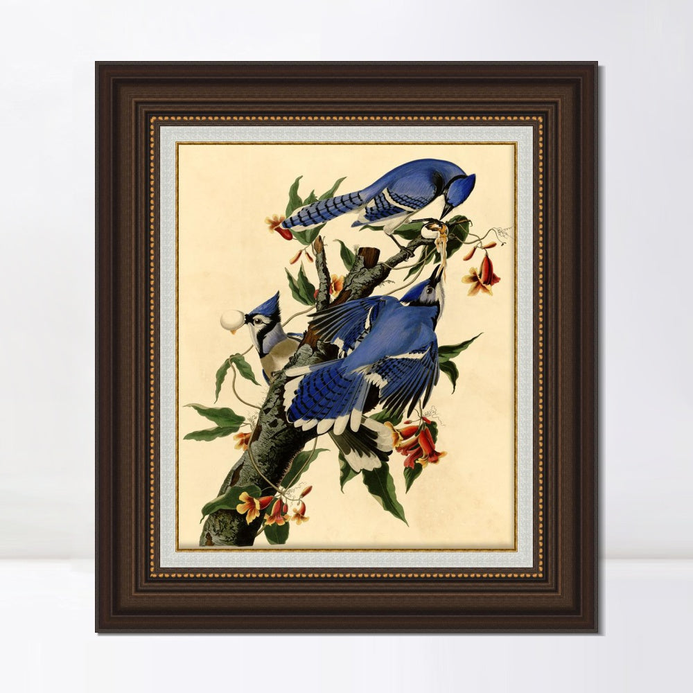 INVIN ART Framed Canvas Art Giclee Print Blue Jay by John James Audubon  Home Office Wall Art Decorations