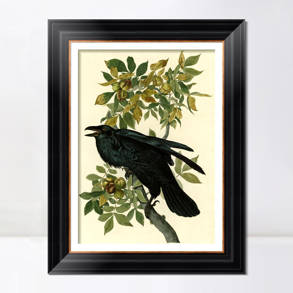 INVIN ART Framed Canvas Art Giclee Print Raven by John James Audubon  Home Office Wall Art Decorations