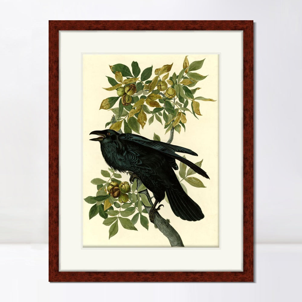 INVIN ART Framed Canvas Art Giclee Print Raven by John James Audubon  Home Office Wall Art Decorations