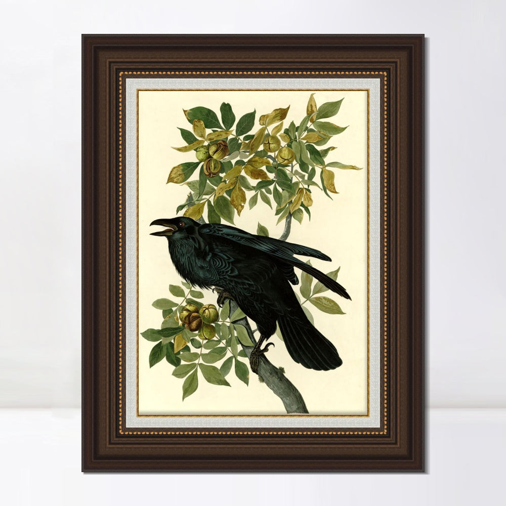 INVIN ART Framed Canvas Art Giclee Print Raven by John James Audubon  Home Office Wall Art Decorations