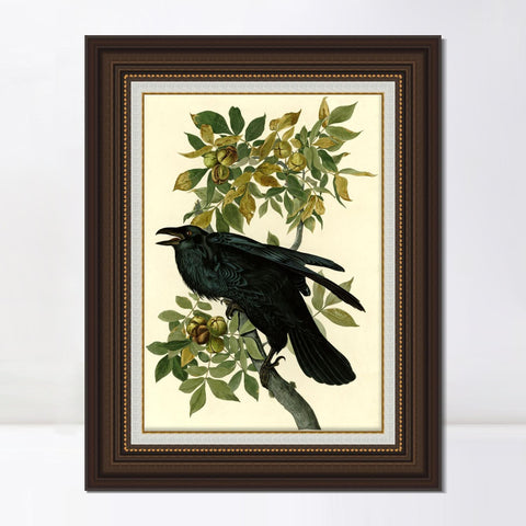 INVIN ART Framed Canvas Art Giclee Print Raven by John James Audubon Living Room Home Office Wall Art Decorations