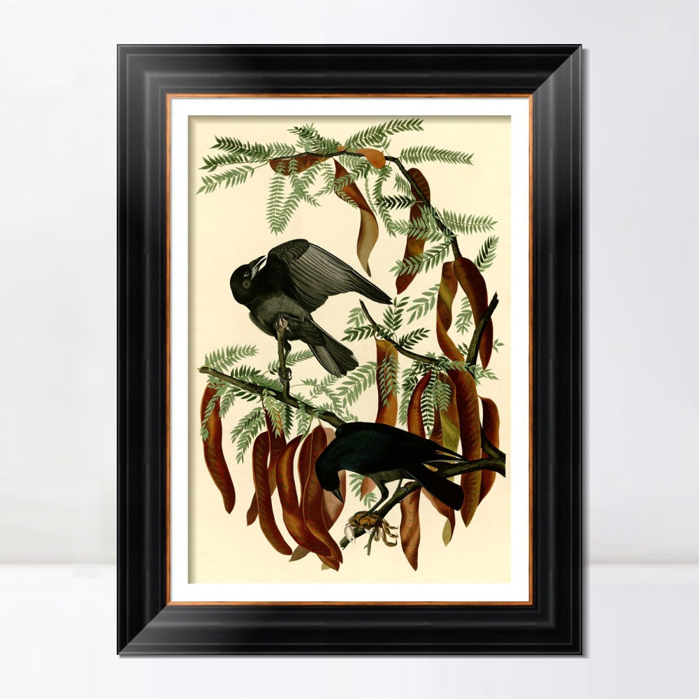 INVIN ART Framed Canvas Art Giclee Print Fish Crow by John James Audubon  Home Office Wall Art Decorations