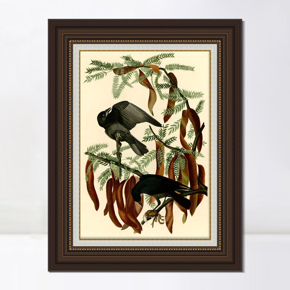 INVIN ART Framed Canvas Art Giclee Print Fish Crow by John James Audubon  Home Office Wall Art Decorations