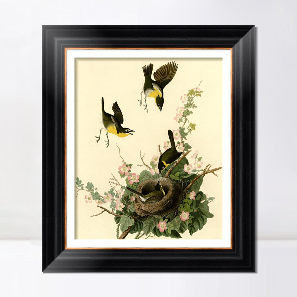 INVIN ART Framed Canvas Art Giclee Print Yellow Breasted Chat by John James Audubon  Home Office Wall Art Decorations