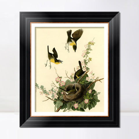 INVIN ART Framed Canvas Art Giclee Print Yellow Breasted Chat by John James Audubon Living Room Home Office Wall Art Decorations