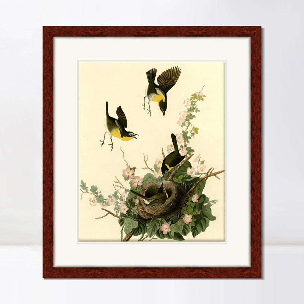 INVIN ART Framed Canvas Art Giclee Print Yellow Breasted Chat by John James Audubon  Home Office Wall Art Decorations