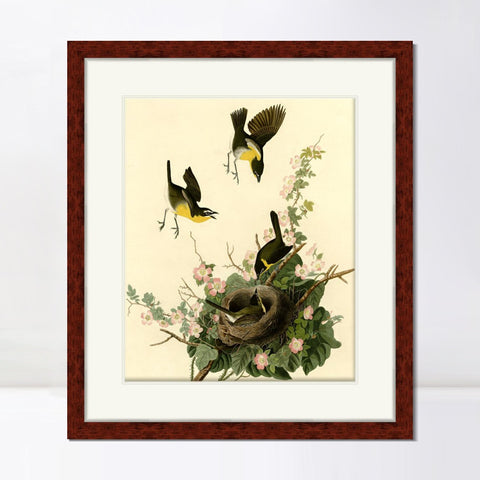 INVIN ART Framed Canvas Art Giclee Print Yellow Breasted Chat by John James Audubon Living Room Home Office Wall Art Decorations