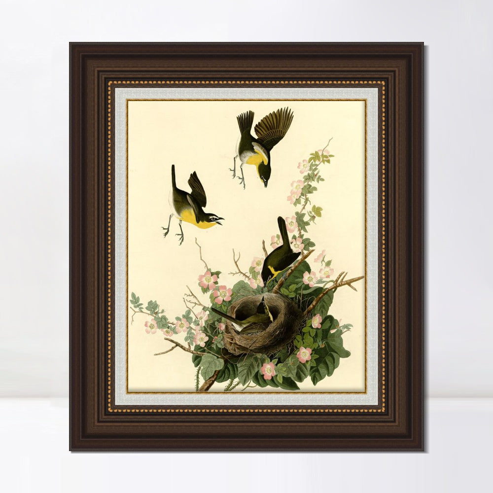 INVIN ART Framed Canvas Art Giclee Print Yellow Breasted Chat by John James Audubon  Home Office Wall Art Decorations