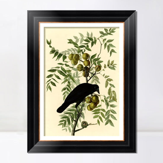 INVIN ART Framed Canvas Art Giclee Print American Crow by John James AudubonHome Office Wall Art Decorations