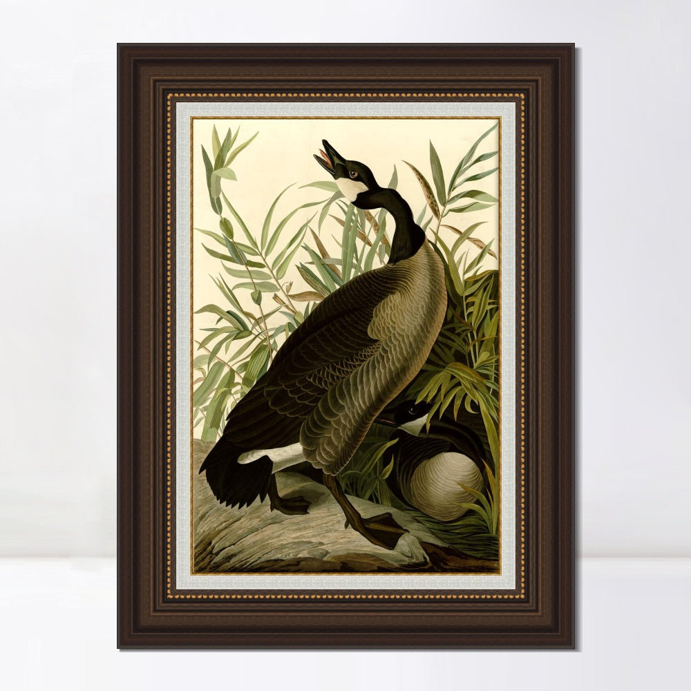 INVIN ART Framed Canvas Art Giclee Print Canada_Goose#40 by John James Audubon  Home Office Wall Art Decorations
