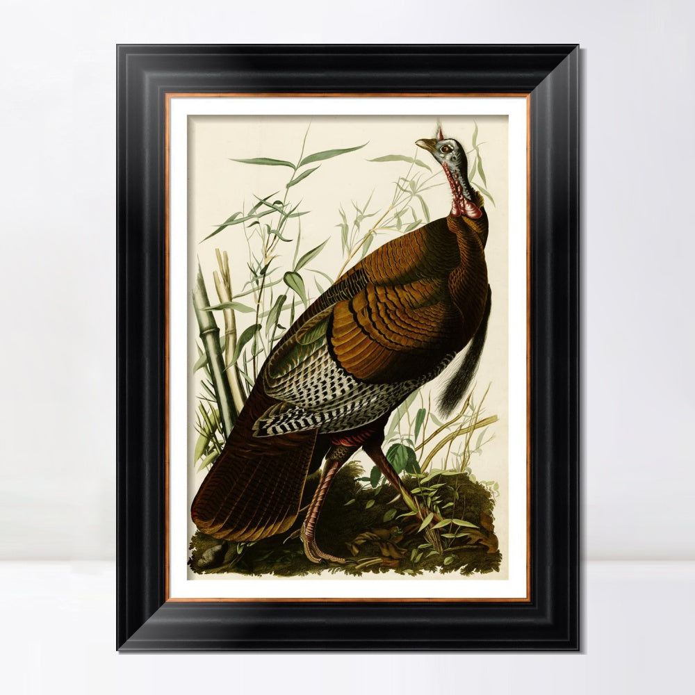 INVIN ART Framed Canvas Art Giclee Print Wild Turkey by John James Audubon  Home Office Wall Art Decorations