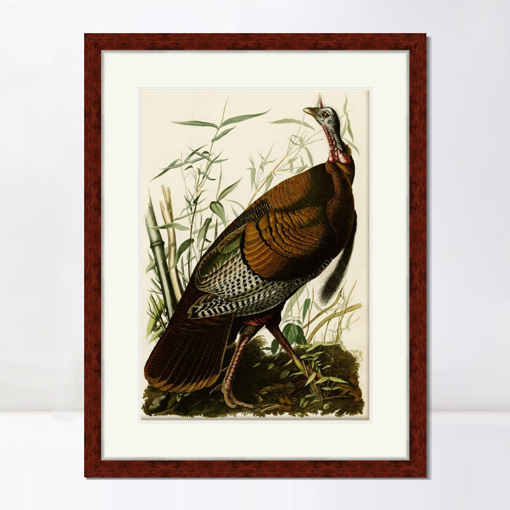 INVIN ART Framed Canvas Art Giclee Print Wild Turkey by John James Audubon  Home Office Wall Art Decorations