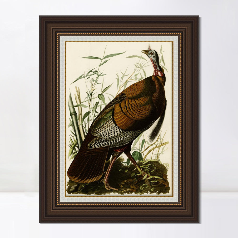 INVIN ART Framed Canvas Art Giclee Print Wild Turkey by John James Audubon  Home Office Wall Art Decorations