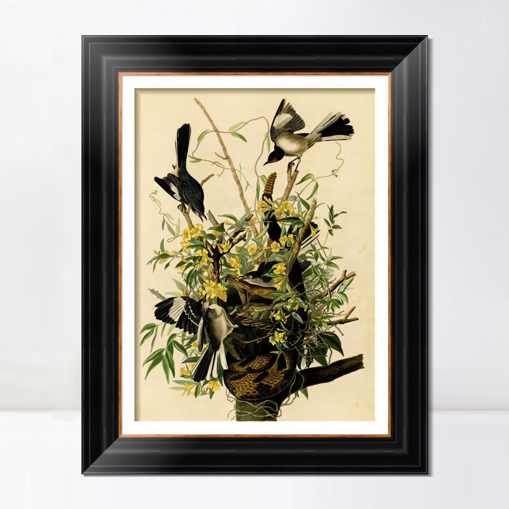 INVIN ART Framed Canvas Art Giclee Print Mocking Bird by John James Audubon Living Room Home Office Wall Art Decorations