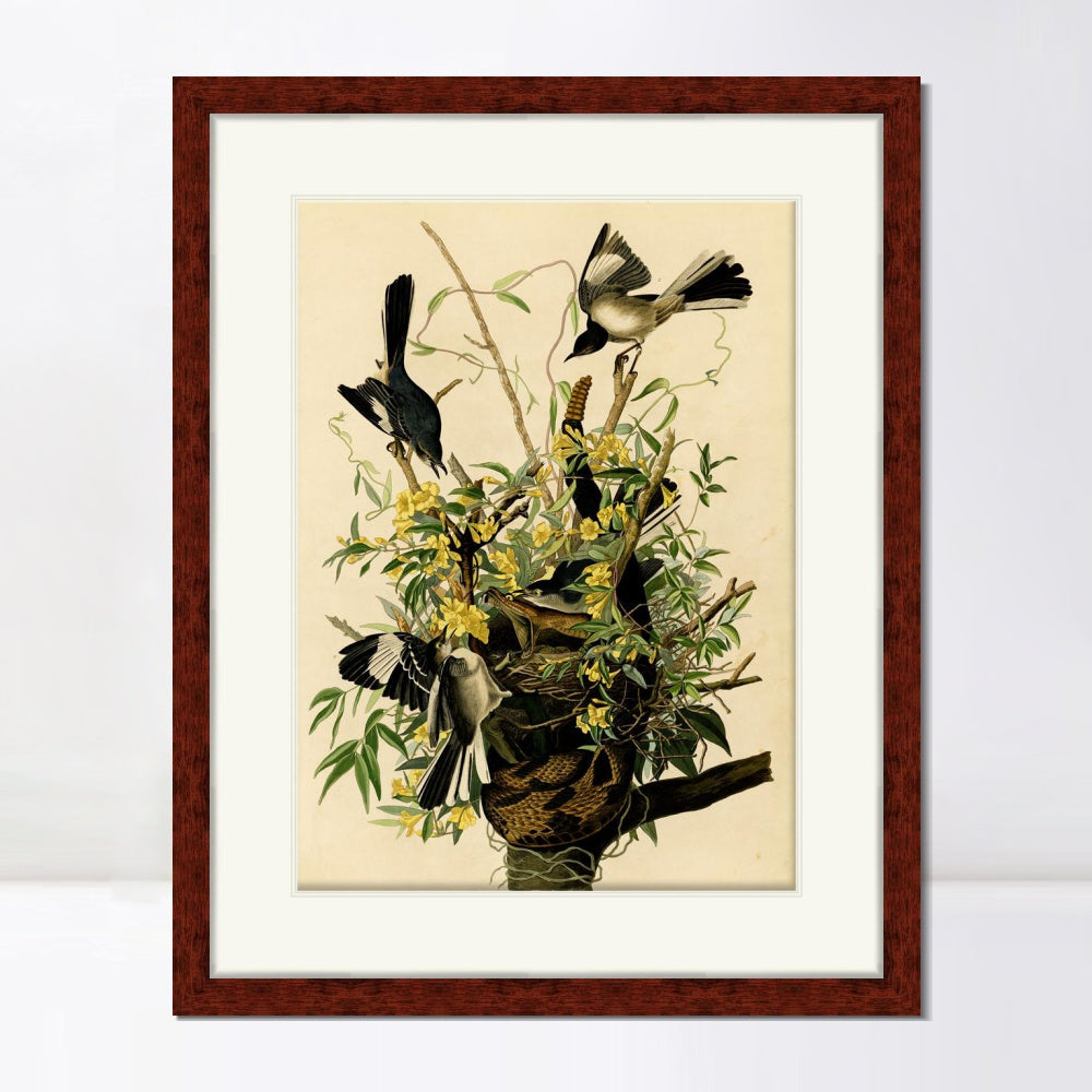 INVIN ART Framed Canvas Art Giclee Print Mocking Bird by John James Audubon Living Room Home Office Wall Art Decorations