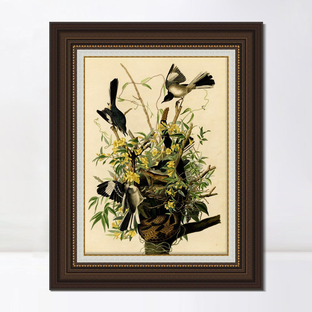 INVIN ART Framed Canvas Art Giclee Print Mocking Bird by John James Audubon Living Room Home Office Wall Art Decorations