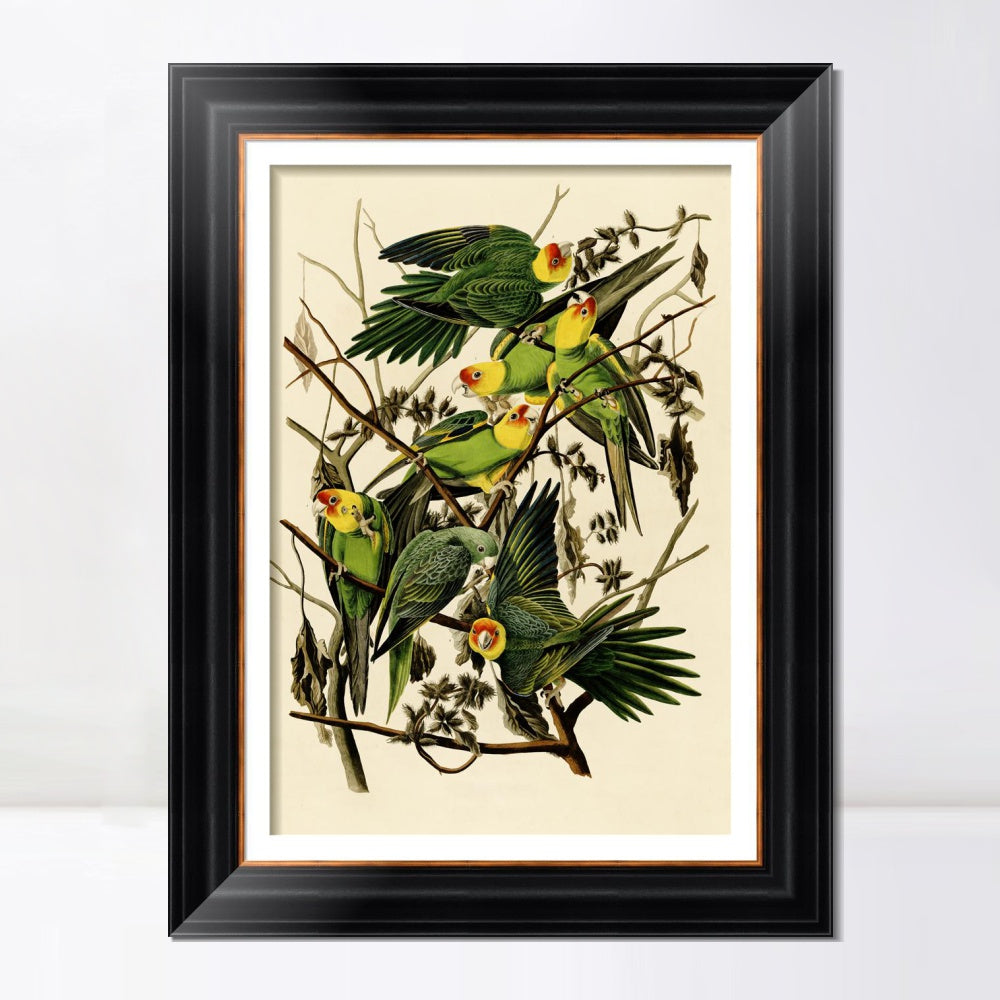 INVIN ART Framed Canvas Art Giclee Print Carolina Parrot by John James Audubon  Home Office Wall Art Decorations