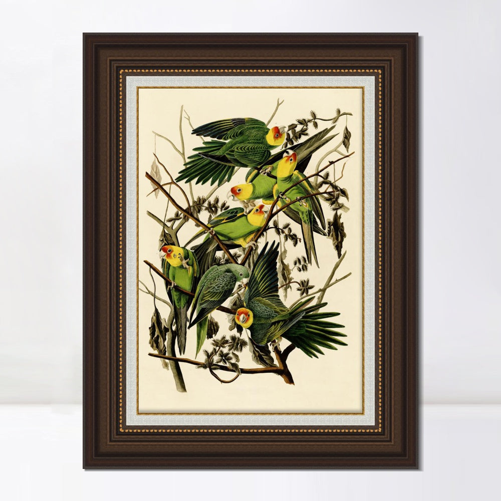 INVIN ART Framed Canvas Art Giclee Print Carolina Parrot by John James Audubon  Home Office Wall Art Decorations