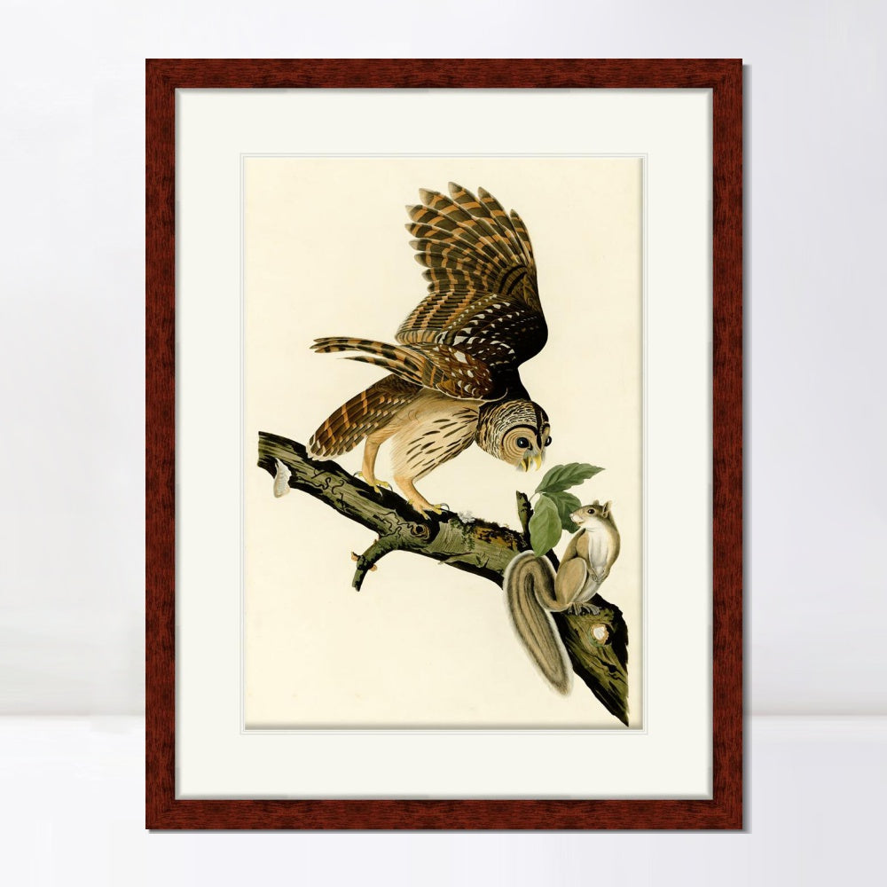 INVIN ART Framed Canvas Art Giclee Print Barred Owl by John James Audubon  Home Office Wall Art Decorations