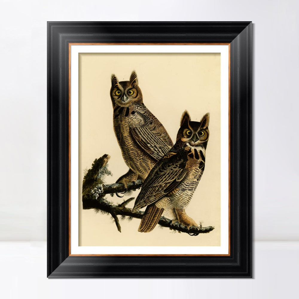 INVIN ART Framed Canvas Art Giclee Print Great Horned Owl by John James Audubon  Home Office Wall Art Decorations