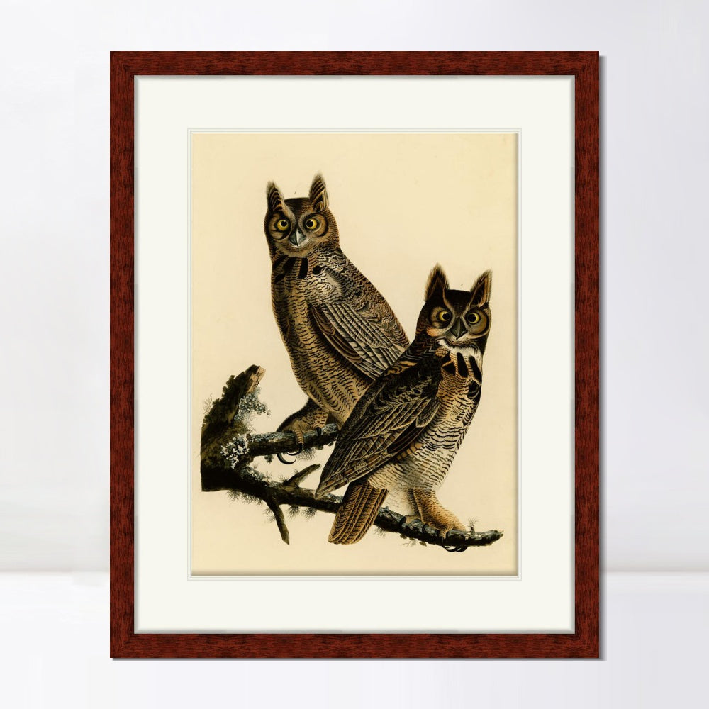 INVIN ART Framed Canvas Art Giclee Print Great Horned Owl by John James Audubon  Home Office Wall Art Decorations