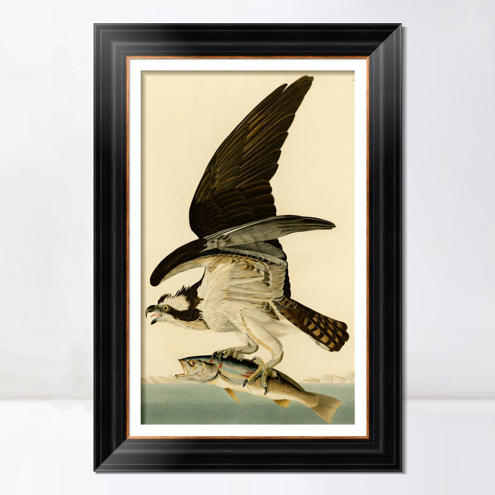 INVIN ART Framed Canvas Art Giclee Print Fish Hawk or Osprey by John James Audubon  Home Office Wall Art Decorations