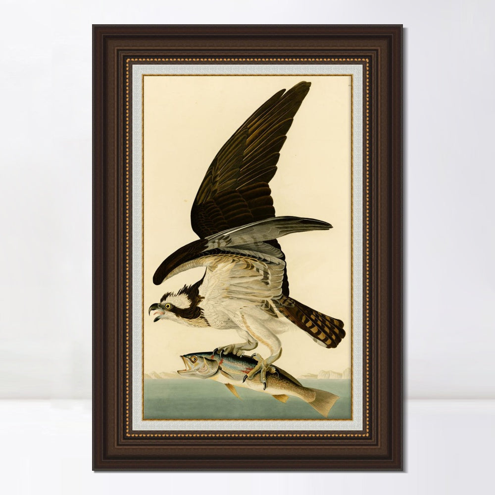 INVIN ART Framed Canvas Art Giclee Print Fish Hawk or Osprey by John James Audubon  Home Office Wall Art Decorations