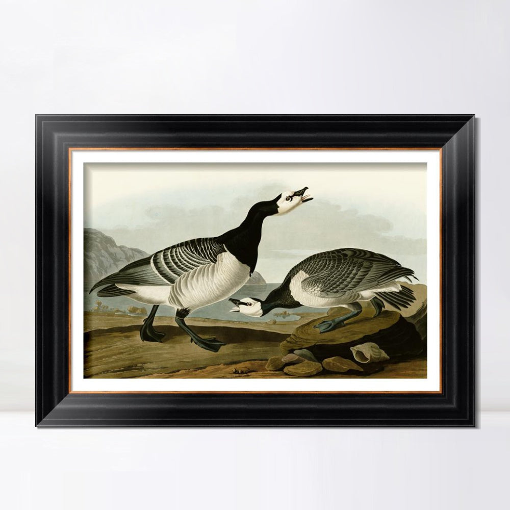 INVIN ART Framed Canvas Art Giclee Print Barnacle Goose by John James Audubon Living Room Home Office Wall Art Decorations