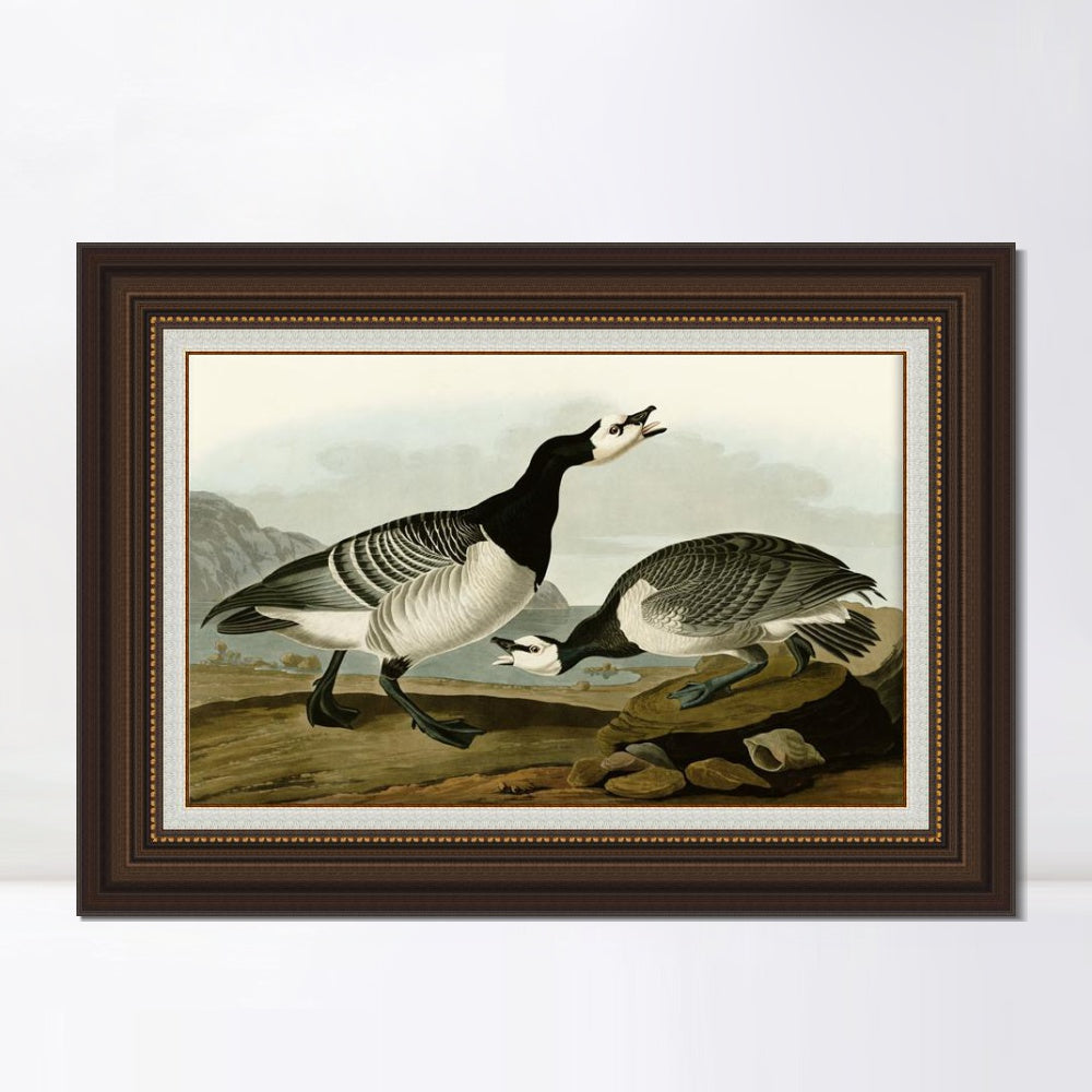 INVIN ART Framed Canvas Art Giclee Print Barnacle Goose by John James Audubon Living Room Home Office Wall Art Decorations