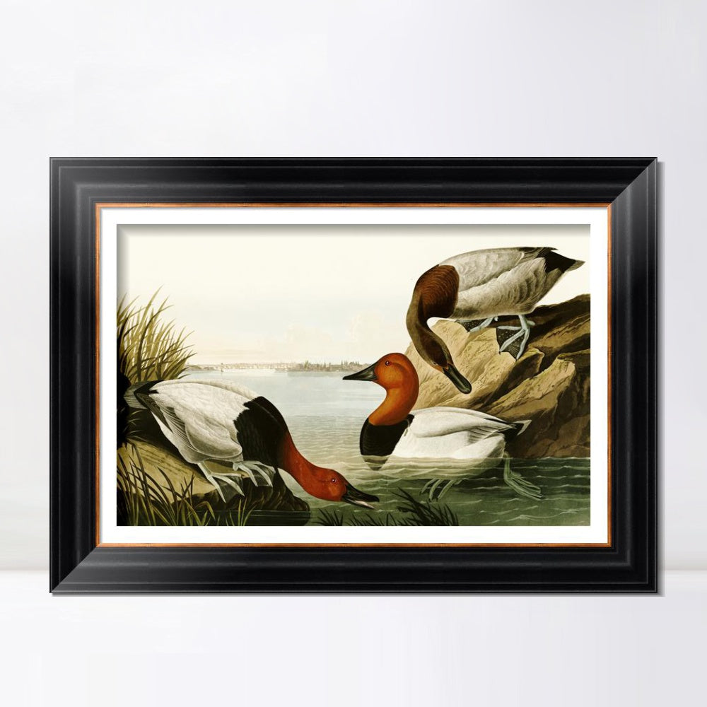 INVIN ART Framed Canvas Art Giclee Print Backed Duck by John James Audubon  Home Office Wall Art Decorations