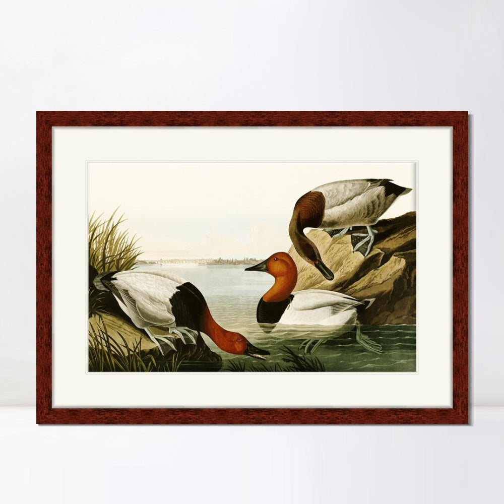 INVIN ART Framed Canvas Art Giclee Print Backed Duck by John James Audubon  Home Office Wall Art Decorations