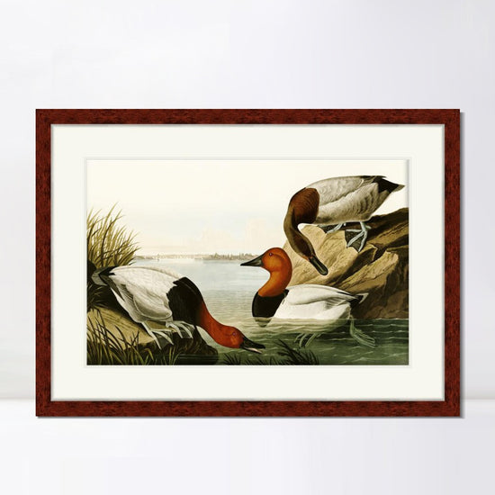 INVIN ART Framed Canvas Art Giclee Print Backed Duck by John James AudubonHome Office Wall Art Decorations