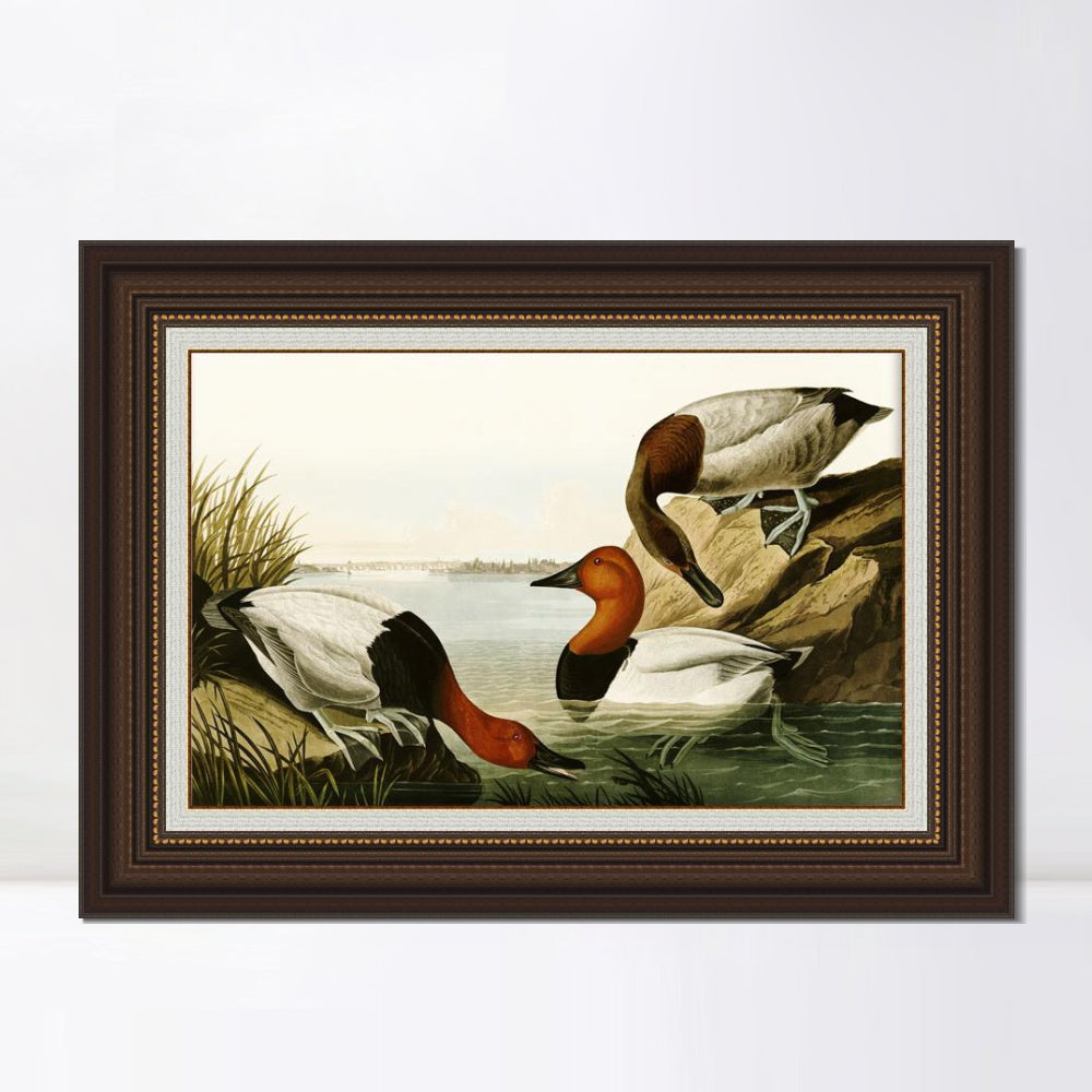 INVIN ART Framed Canvas Art Giclee Print Backed Duck by John James Audubon  Home Office Wall Art Decorations