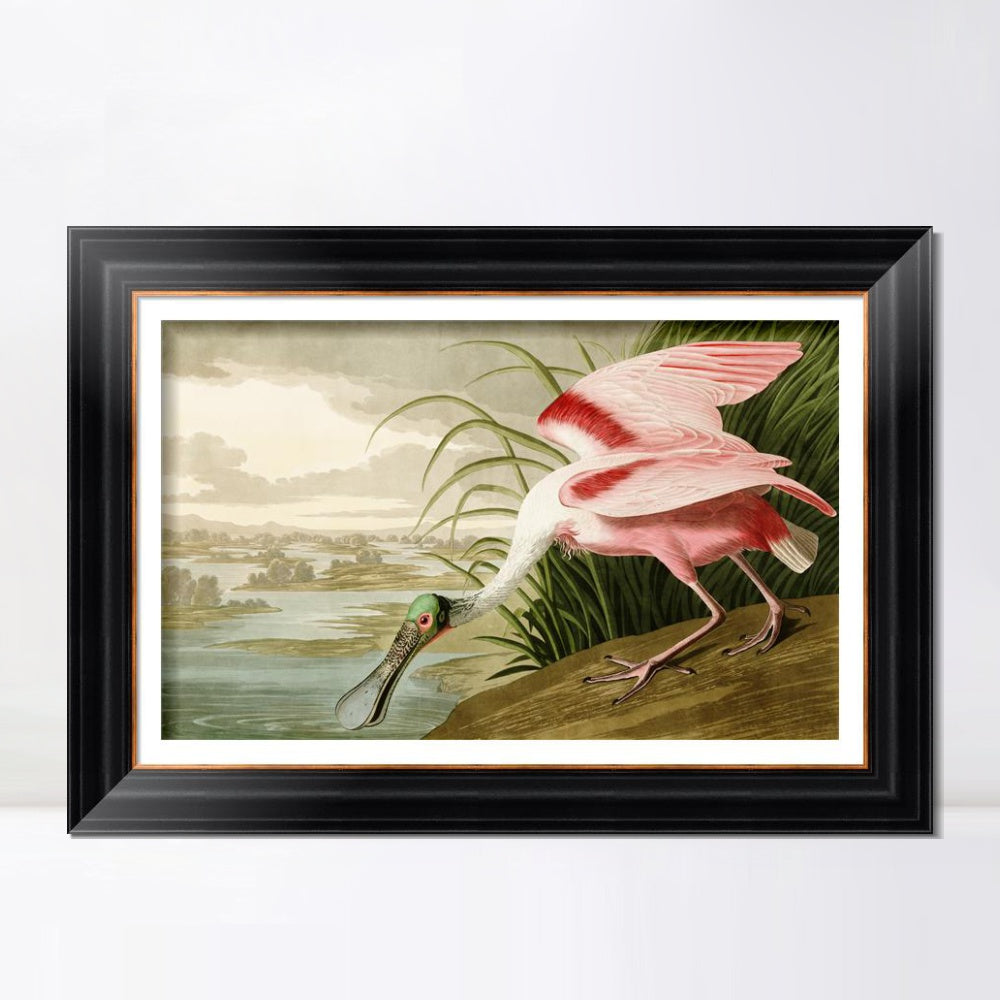 INVIN ART Framed Canvas Art Giclee Print Roseate Spoonbill Bird by John James Audubon  Home Office Wall Art Decorations