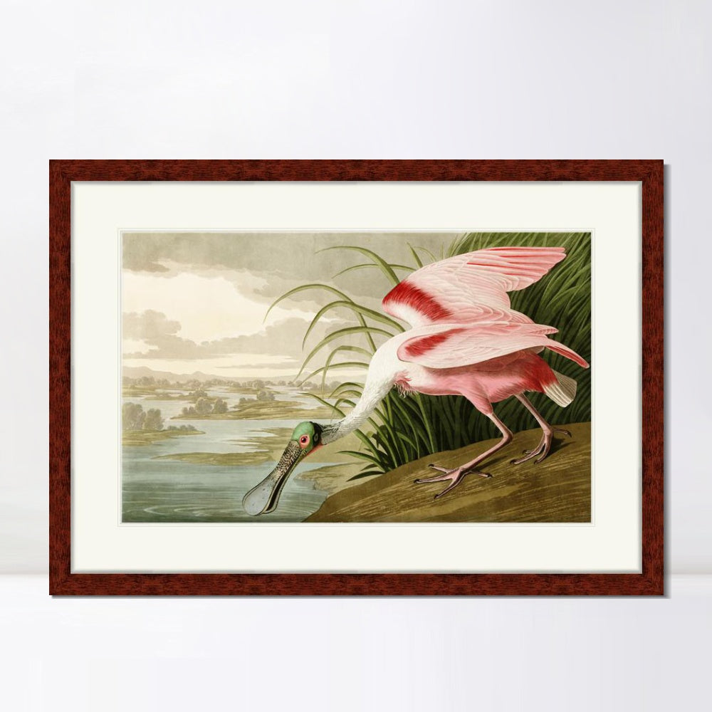 INVIN ART Framed Canvas Art Giclee Print Roseate Spoonbill Bird by John James Audubon  Home Office Wall Art Decorations
