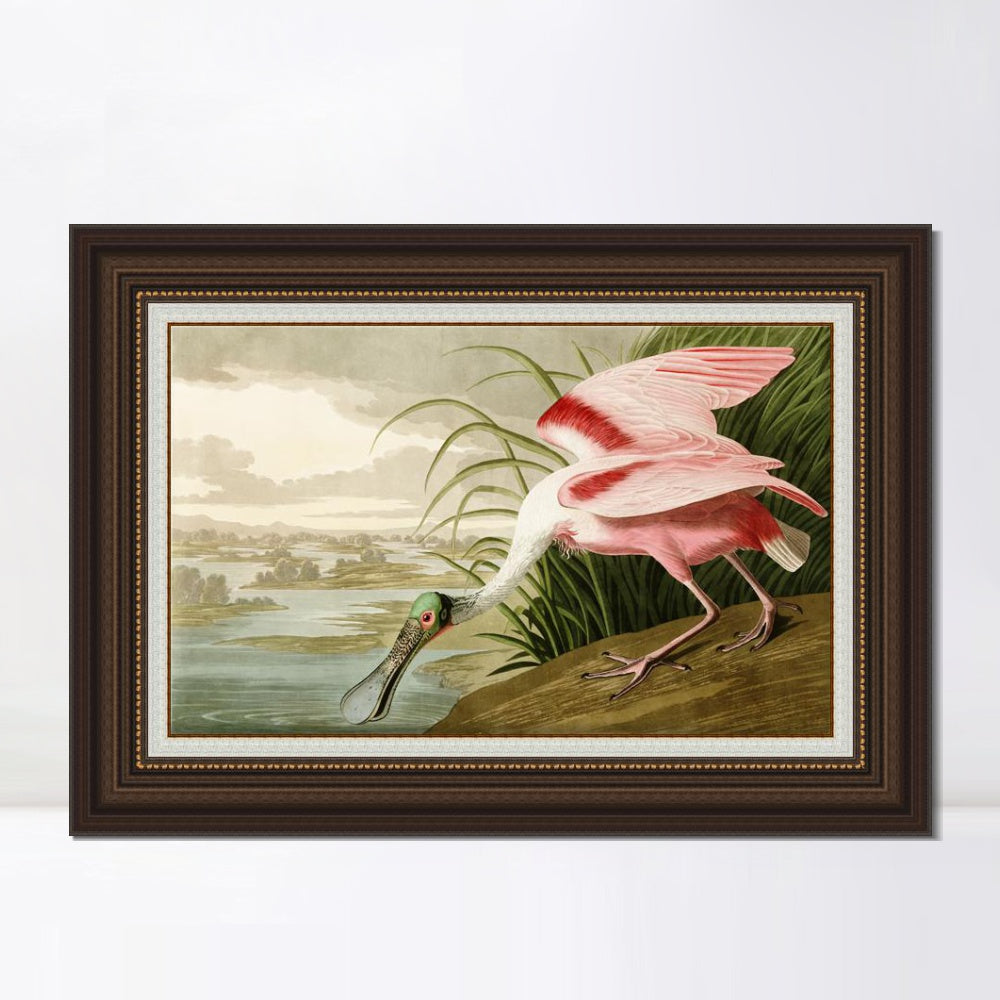 INVIN ART Framed Canvas Art Giclee Print Roseate Spoonbill Bird by John James Audubon  Home Office Wall Art Decorations