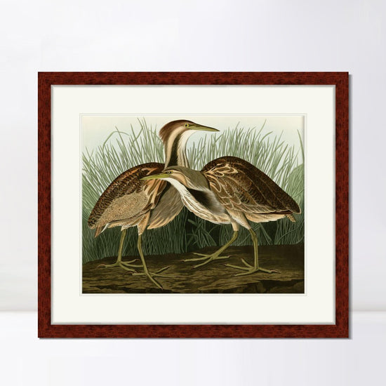 INVIN ART Framed Canvas Art Giclee Print American Bittern by John James AudubonHome Office Wall Art Decorations