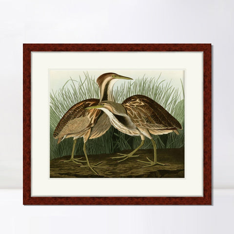 INVIN ART Framed Canvas Art Giclee Print American Bittern by John James Audubon Living Room Home Office Wall Art Decorations