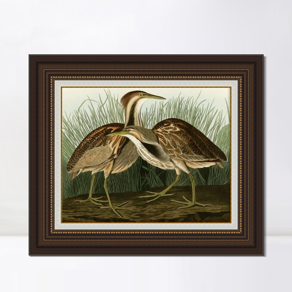 INVIN ART Framed Canvas Art Giclee Print American Bittern by John James Audubon  Home Office Wall Art Decorations
