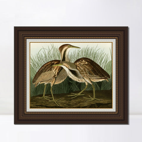 INVIN ART Framed Canvas Art Giclee Print American Bittern by John James Audubon Living Room Home Office Wall Art Decorations