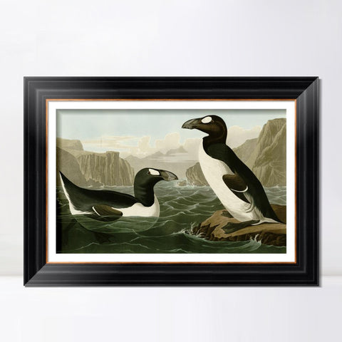 INVIN ART Framed Canvas Art Giclee Print Great Auk by John James Audubon Living Room Home Office Wall Art Decorations