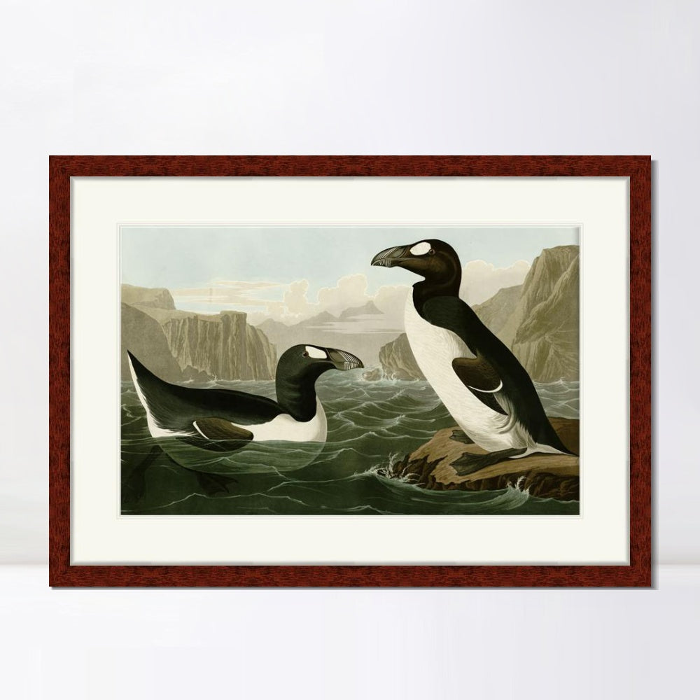 INVIN ART Framed Canvas Art Giclee Print Great Auk by John James Audubon  Home Office Wall Art Decorations
