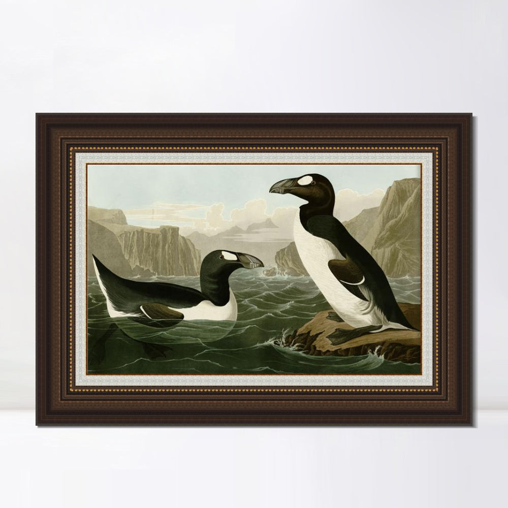 INVIN ART Framed Canvas Art Giclee Print Great Auk by John James Audubon  Home Office Wall Art Decorations