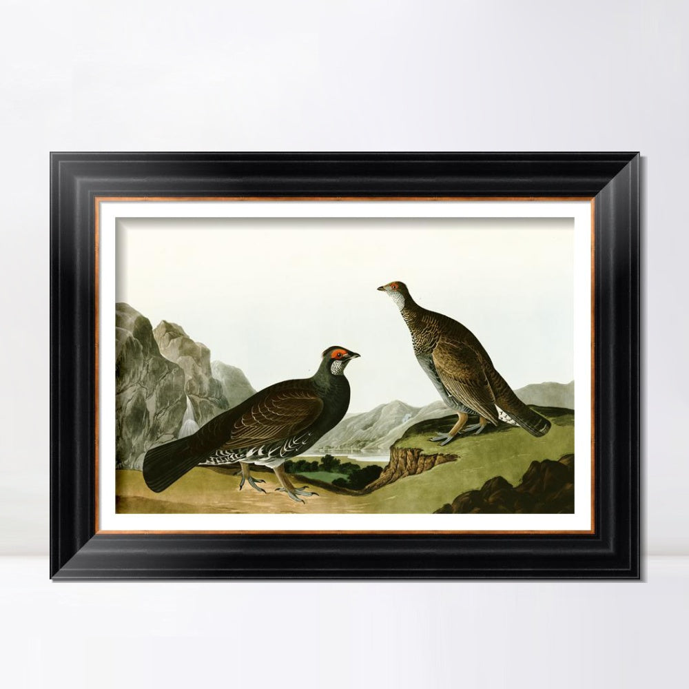 INVIN ART Framed Canvas Art Giclee Print Long Tailed or Dusky Grous by John James Audubon  Home Office Wall Art Decorations