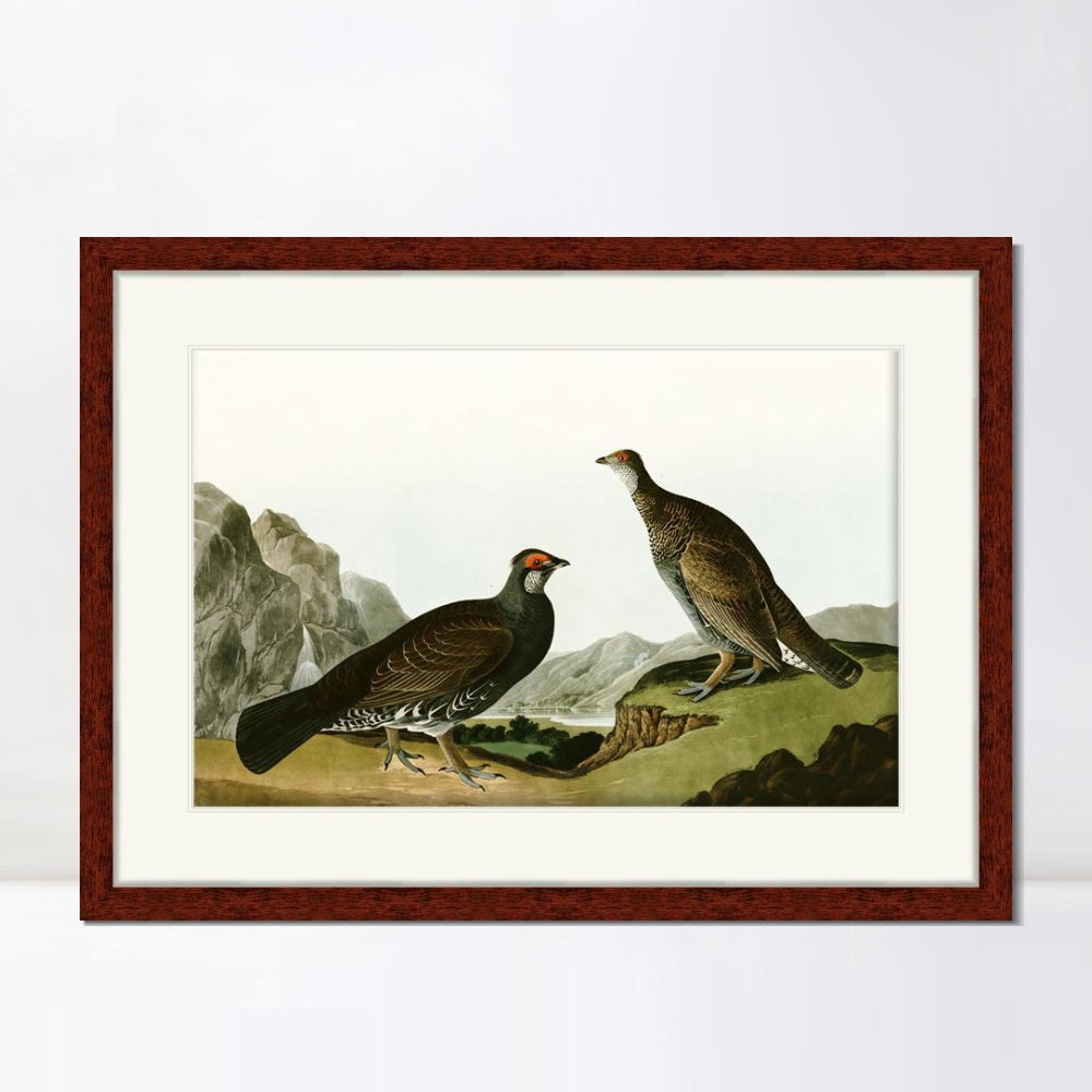 INVIN ART Framed Canvas Art Giclee Print Long Tailed or Dusky Grous by John James Audubon  Home Office Wall Art Decorations