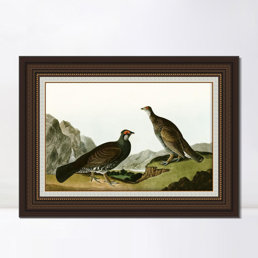 INVIN ART Framed Canvas Art Giclee Print Long Tailed or Dusky Grous by John James Audubon  Home Office Wall Art Decorations