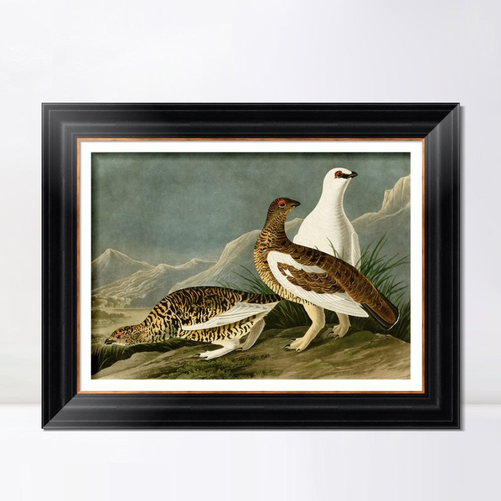 INVIN ART Framed Canvas Art Giclee Print Rock Grous by John James Audubon  Home Office Wall Art Decorations