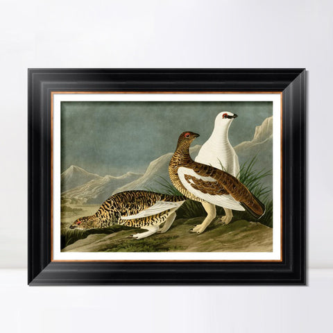 INVIN ART Framed Canvas Art Giclee Print Rock Grous by John James Audubon Living Room Home Office Wall Art Decorations